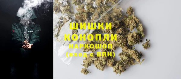 соль ск Богородск