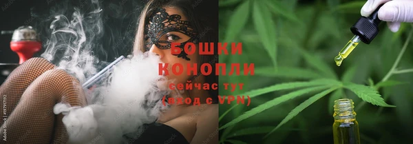 соль ск Богородск