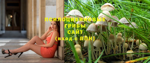 амф Богородицк