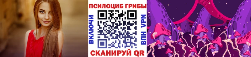 Псилоцибиновые грибы GOLDEN TEACHER  omg зеркало  Мостовской 